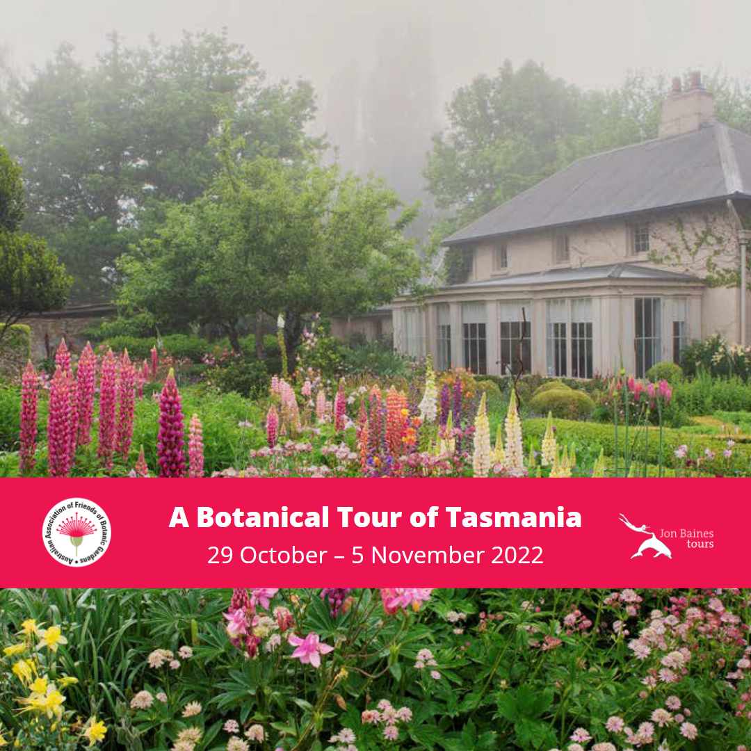 Tasmania Tour